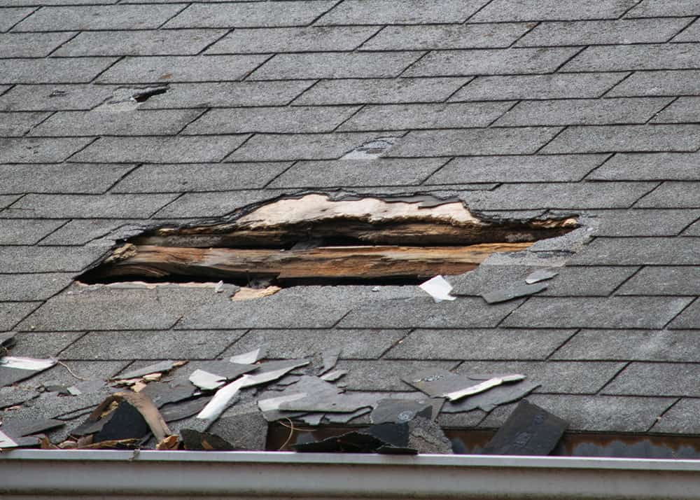 Damaged roof shingles