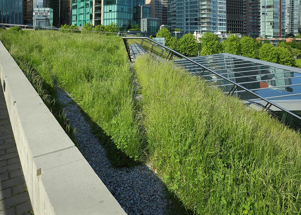 Green Roofing