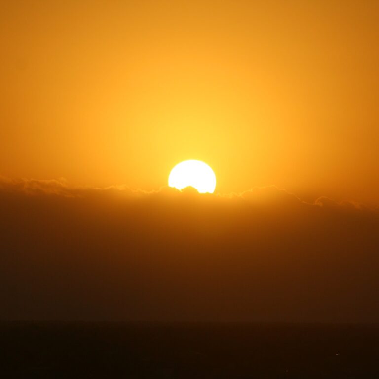 Georgia Sun: summer heat impacts of Georgia Roofs